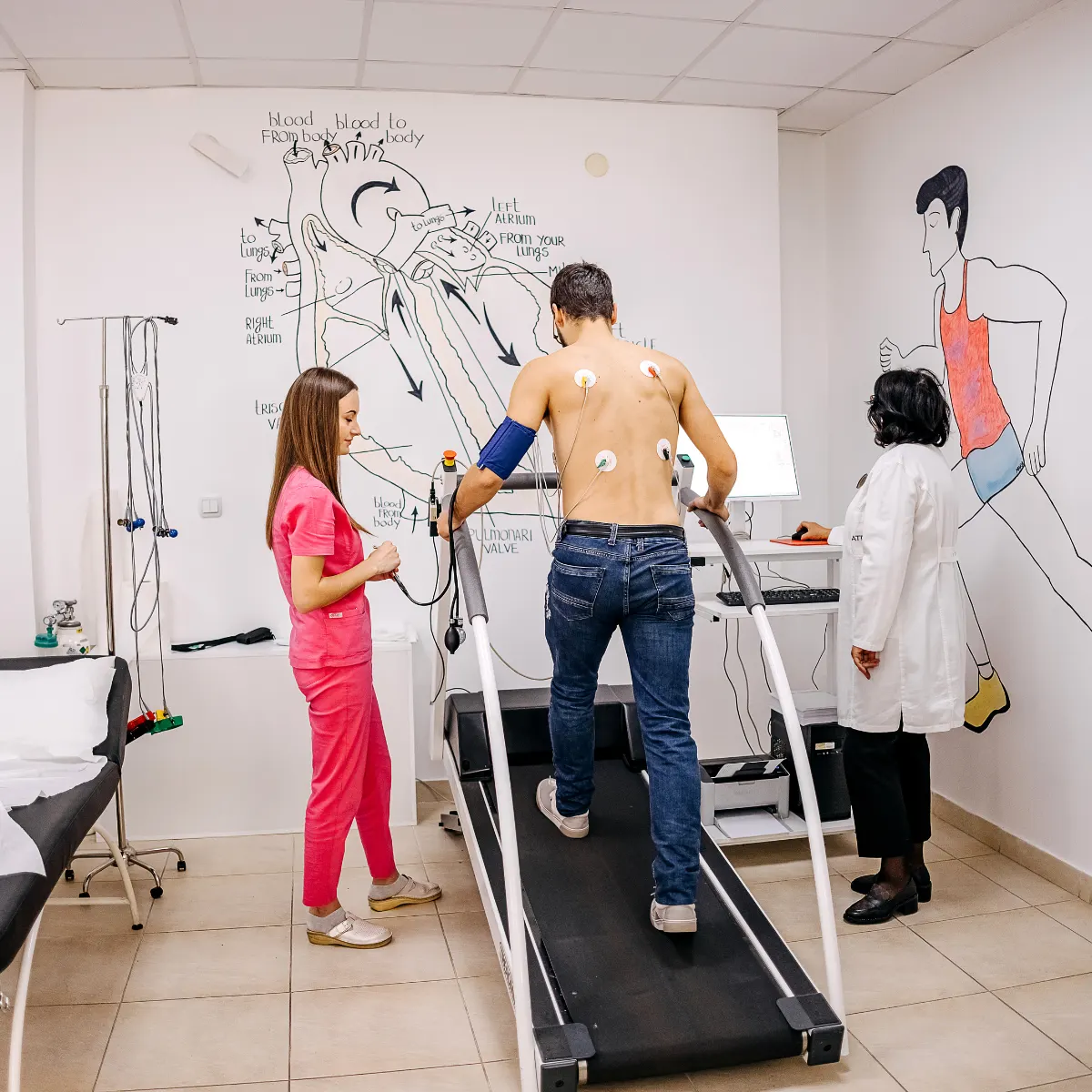 Prueba de esfuerzo cardiovascular